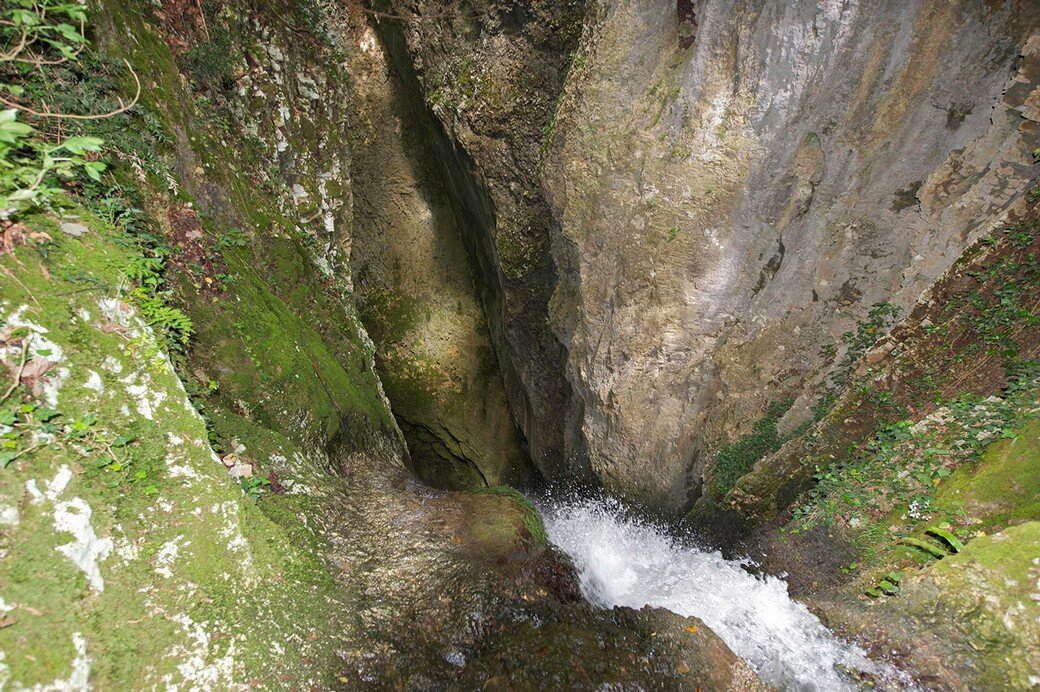 Botro della Tonza delle sette Lignole Botro della Tonza delle sette Lignole