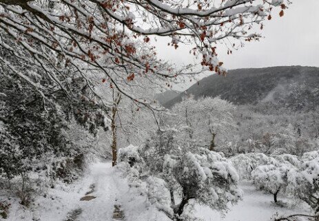Neve alla Cun'rella - 3 gennaio 2019