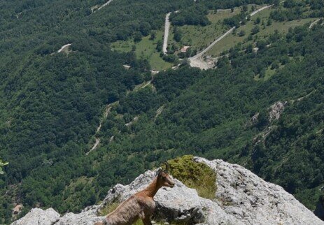 Monte Marrone - 02/07/2018 
